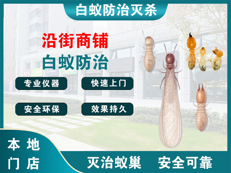 宝山沿街商铺白蚁防治