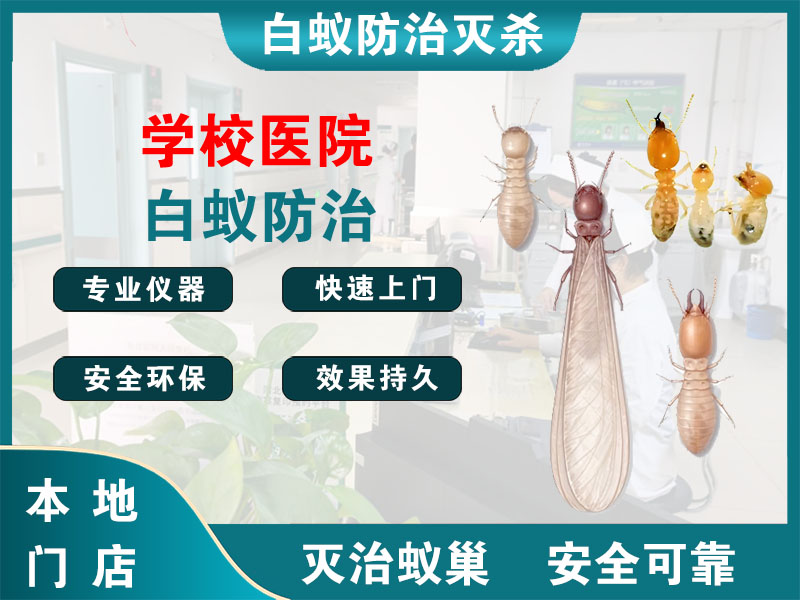 宝山学校医院白蚁防治