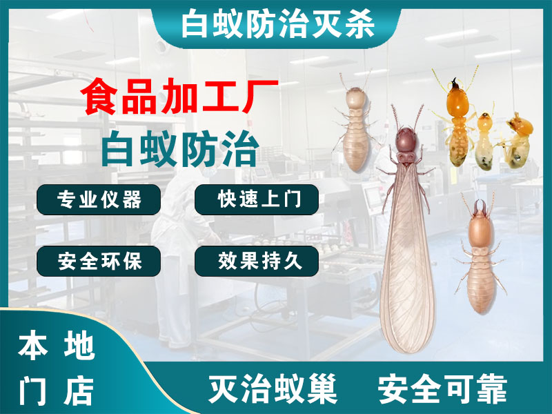 宝山食品加工厂白蚁防治