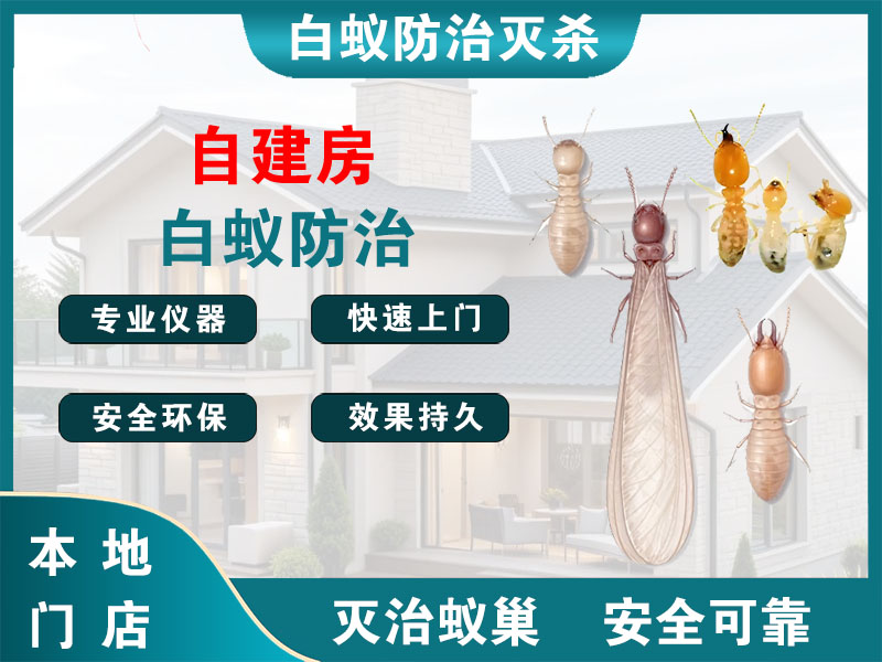 宝山自建房白蚁防治