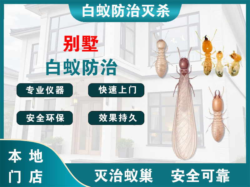 宝山别墅白蚁防治