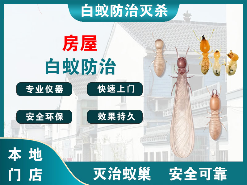 宝山房屋白蚁防治